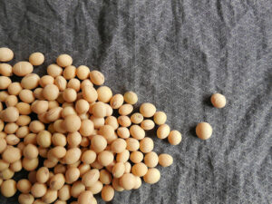 Is Soy Bad for Men: The Truth About Soy Products and Testosterone