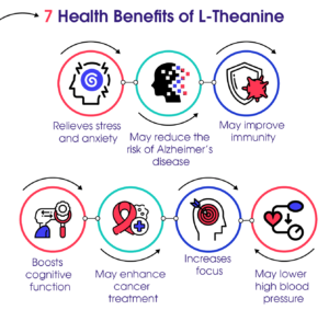 theanine benefits bodybuilding