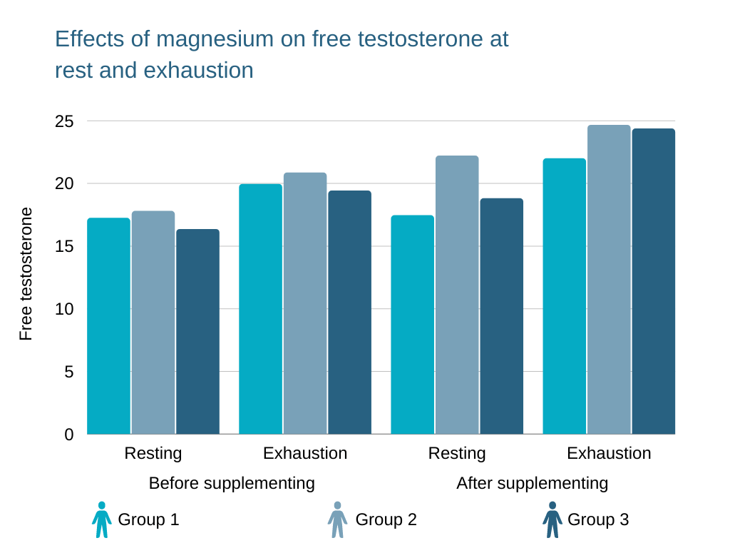 foods that increase testosterone Effects of magnesium on free testosterone at rest and exhaustion