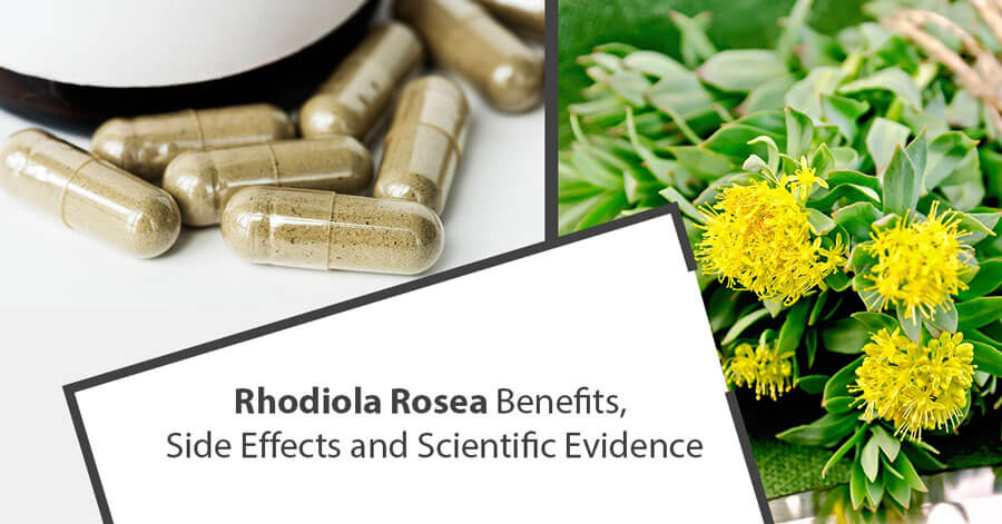 Rhodiola Rosea Benefits, Side Effects and Scientific Evidence