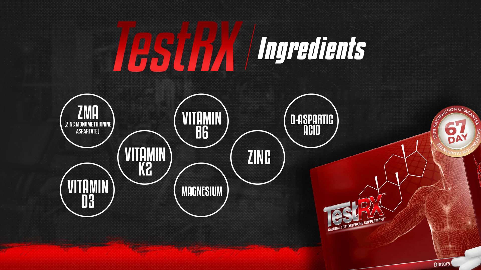 TestRX-ingredients